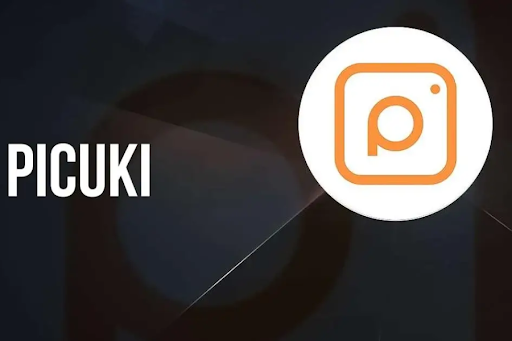 picuki alternative